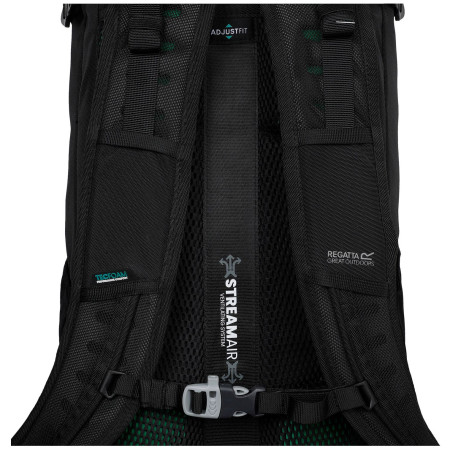 Mochila Regatta Blackfell IV 25L