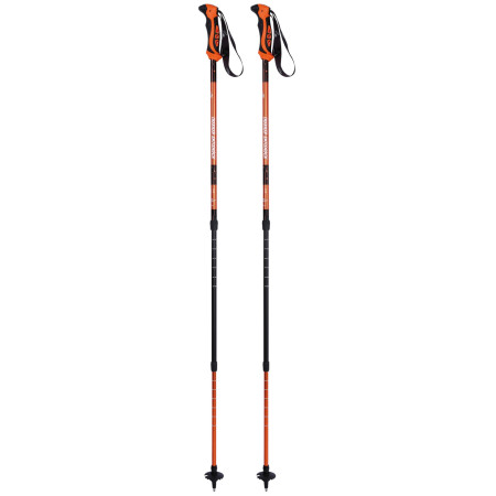 Bastones de senderismo Zulu Trekker Antishock