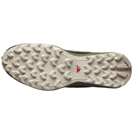 Calzado de hombre Salomon Speedcross Peak