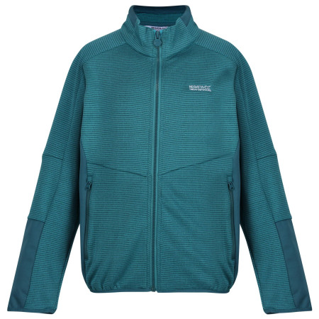 Sudadera para niños Regatta Highton WtrFZ III azul claro Pagoda/Drgnf