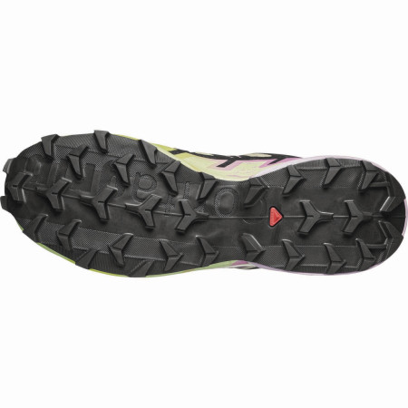 Calzado de mujer Salomon Speedcross 6 Gore-Tex