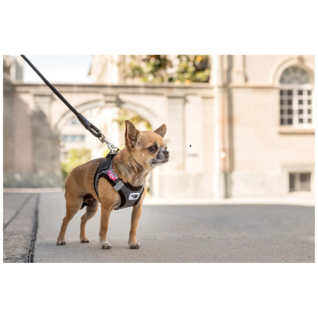 Correa para perro Curli Stretch Comfort Leash