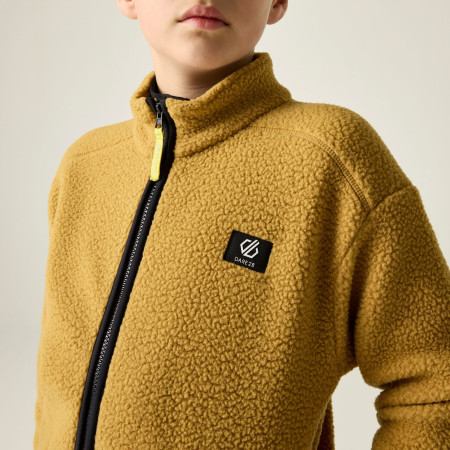 Sudadera para niños Dare 2b Zesty II Fleece Wood Brown