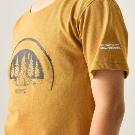 Camiseta para niños Regatta Bosley Wood Brown