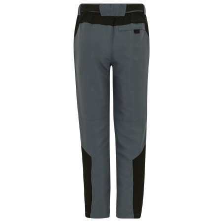 Pantalones para niños Regatta Sorcer Mountain Trousers VII Dark Storm