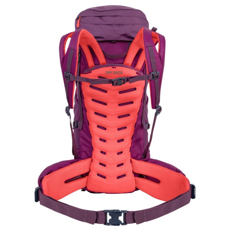 Mochila de mujer Salewa Alptrek 38 +5 Bp Ws