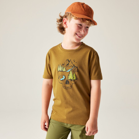 Camiseta para niños Dare 2b Trailbazer III Tee Dark Cumin