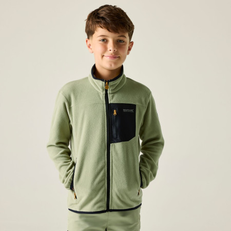 Sudadera para niños Regatta Junior Frankie F/Z Light Sage