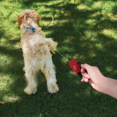 Correa para perro Nite Ize RadDog™ Retractable Pocket Leash