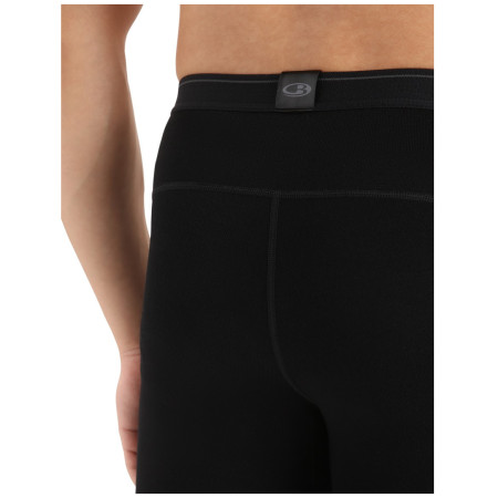 Calzoncillos funcionales de hombre Icebreaker M 260 Tech Leggings wFly