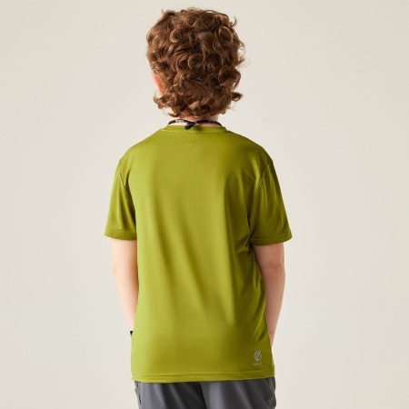Camiseta para niños Dare 2b Amuse III Tee Goldn Cypress