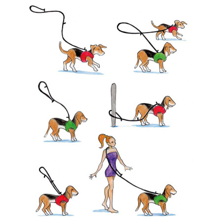 Correa para perro Curli Adjustable Leash Nylon