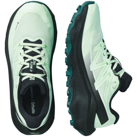 Zapatillas de carrera para mujer Salomon Ultra Flow 2 Gore-Tex