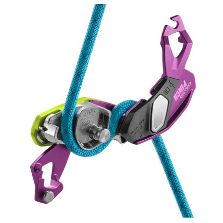 Asegurador Edelrid Pinch (violet-oasis)