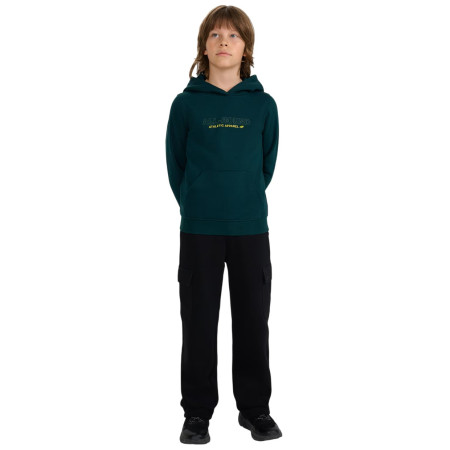 Sudadera para niños 4F Sweatshirt M1959