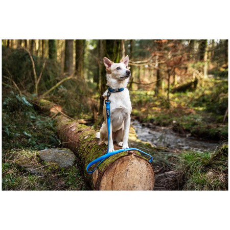 Correa para perro Mountain Paws Waterproof Dog Lead