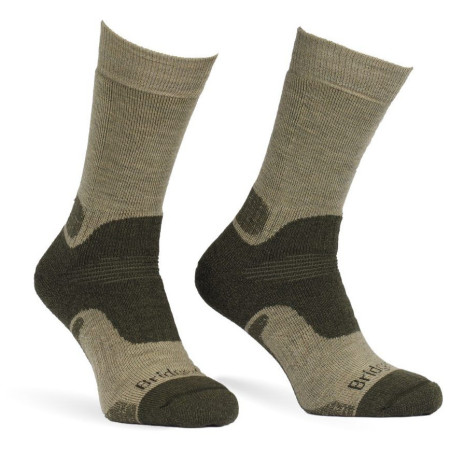 Calcetines Bridgedale Field Range MW MP Boot verde olive/531
