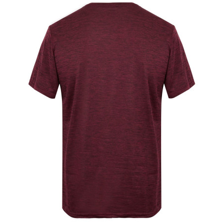 Camiseta de hombre Regatta Fingal Edition