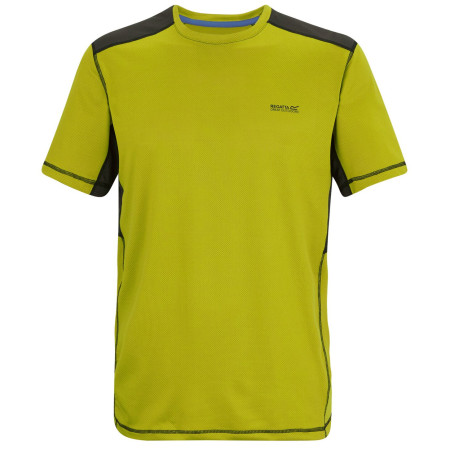 Camiseta de hombre Regatta Virda verde DkTang/Blk