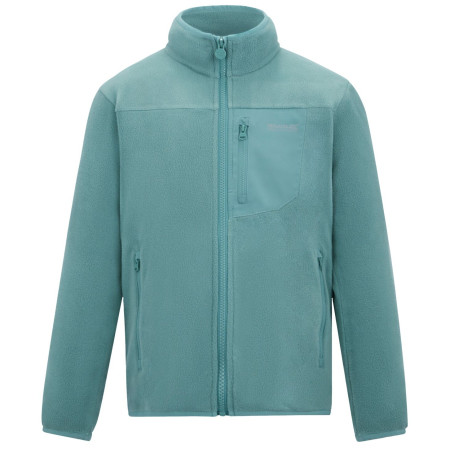 Sudadera para niños Regatta Junior Frankie F/Z Ivy Moss verde claro Ivy Moss