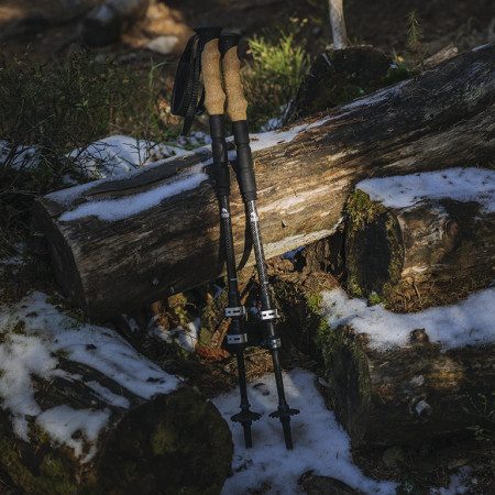 ¿Cómo elegir los bastones de trekking?
