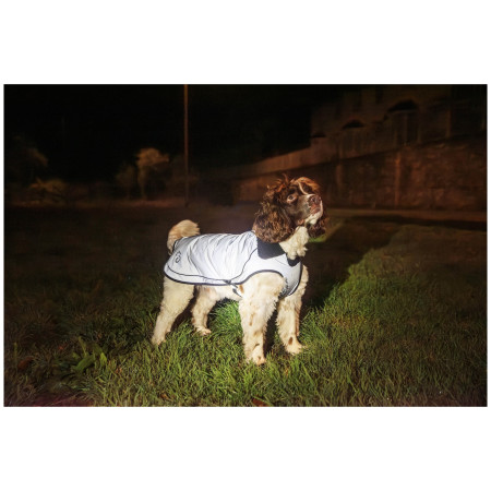 Impermeable para perro Mountain Paws Reflective Fleece-Lined Dog Raincoat