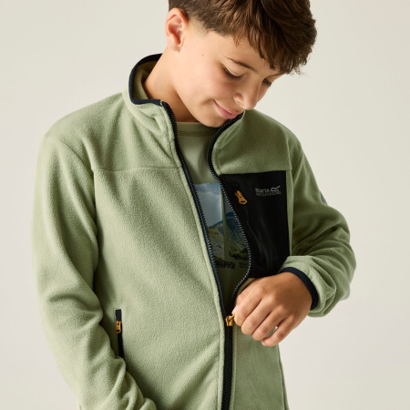 Sudadera para niños Regatta Junior Frankie F/Z Light Sage
