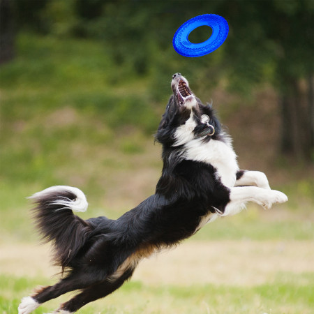 Juguete para perro Nerf Dog Translucent TPR Tire Flyer 25 cm