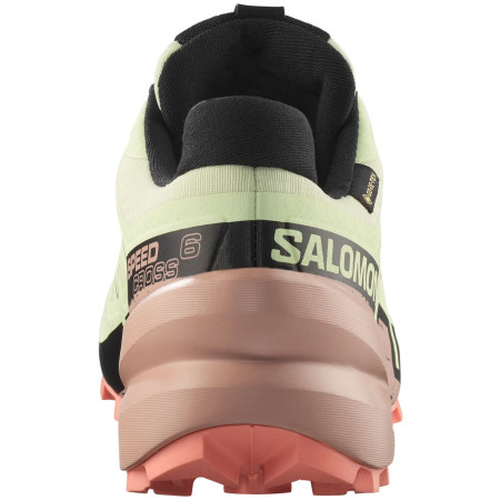 Calzado de mujer Salomon Speedcross 6 Gore-Tex
