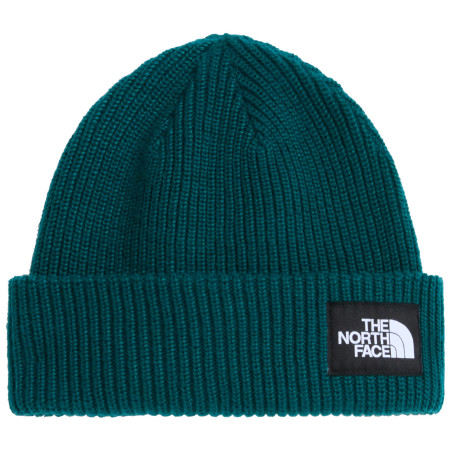 Gorro The North Face Salty Lined Beanie