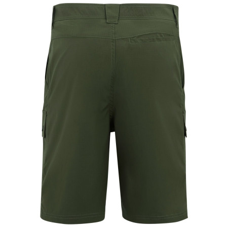 Pantalones cortos de hombre Regatta Arlery Shorts