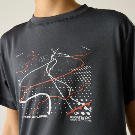 Camiseta para niños Regatta Alvarado Seal Grey