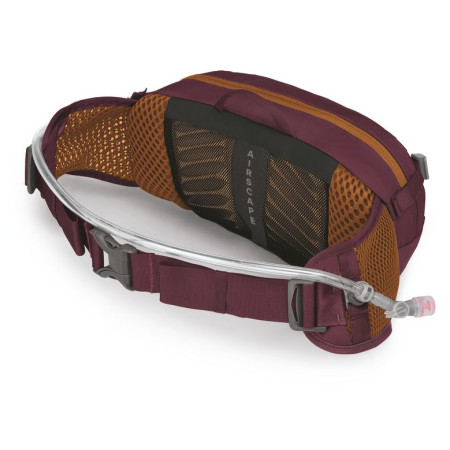 Riñonera Osprey Seral 4