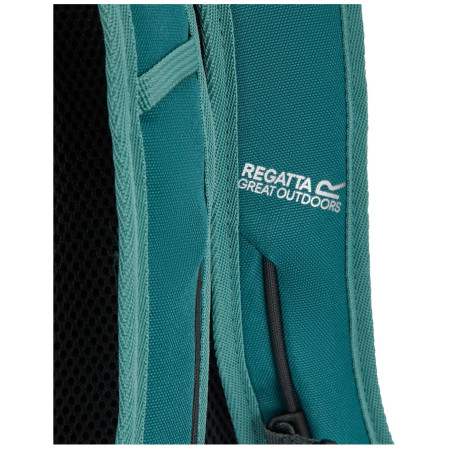 Mochila Regatta Prism 20L