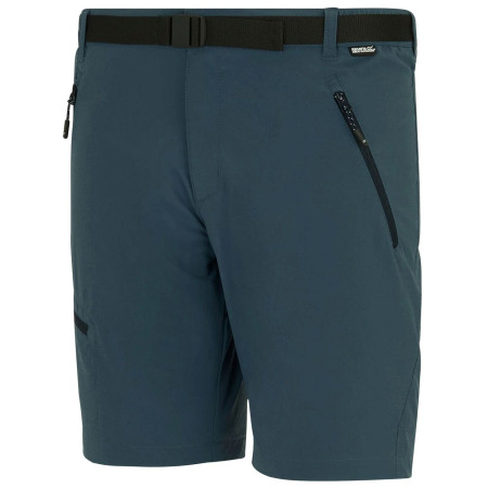 Pantalones cortos de hombre Regatta Xert Stretch Shorts