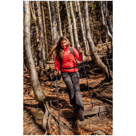 Bastones de senderismo Warg Explorer Antishock