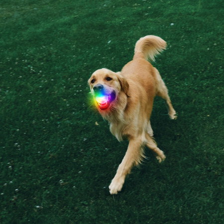 Juguete para perro Nite Ize Glowstreak Rechargeable Led Ball