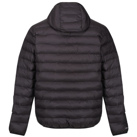 Chaqueta de hombre Regatta Hooded Marizion