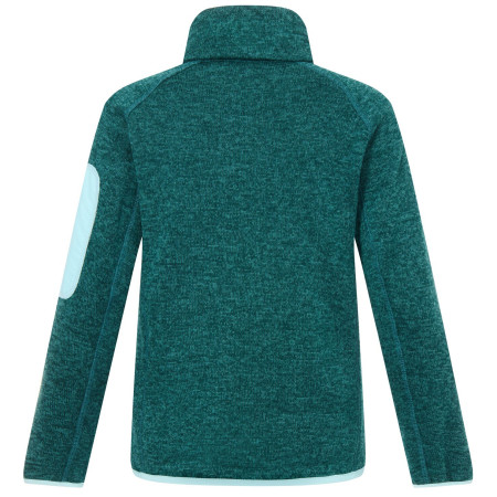 Sudadera para niños Regatta Junior Newhill DrkForGlacGr