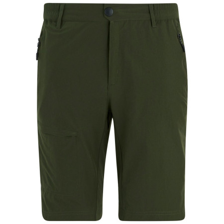 Pantalones cortos de hombre Regatta Highton Shorts Long II