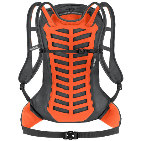 Mochila Salewa Pedroc Pro 22L M