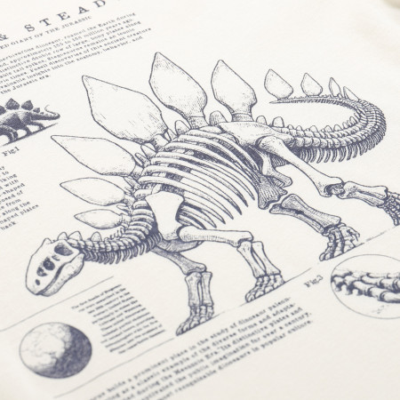 Camiseta para niños Alpine Pro Ecco 2