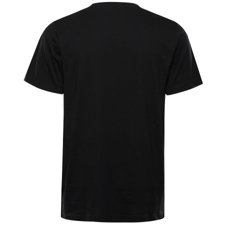 Camiseta de hombre Alpine Pro Bolen 2