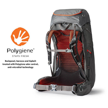 Mochila Gregory Facet 45