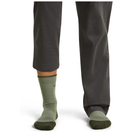 Calcetines de mujer Icebreaker W Mer Hike+ Light Crew