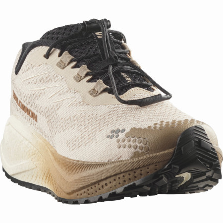Zapatillas de carrera para mujer Salomon Aero Blaze 4 Grvl W