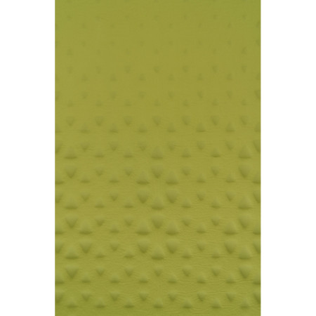 Colchoneta autohinchable Sea to Summit Camp Mat Self Inflating Mat R