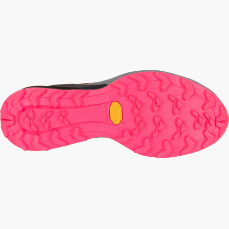 Zapatillas de carrera para mujer Dynafit Alpine W