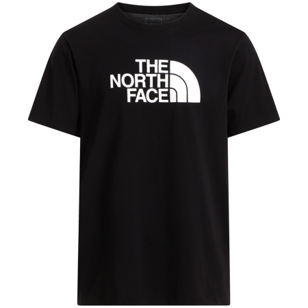 Camiseta de hombre The North Face Evolution Half Dome Regular Short Slee