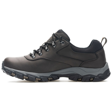 Calzado de hombre Regatta Holcombe Classic Low